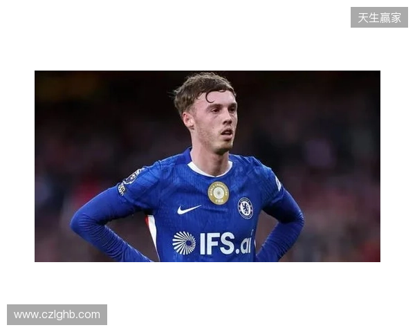 帕尔默：此前连输四场滋味并不好，赢维尔港让大家重拾好心情